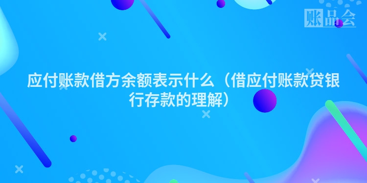 应付账款借方余额表示什么（借应付账款贷银行存款的理解）