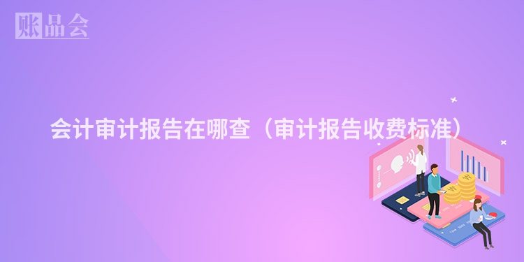 会计审计报告在哪查（审计报告收费标准）