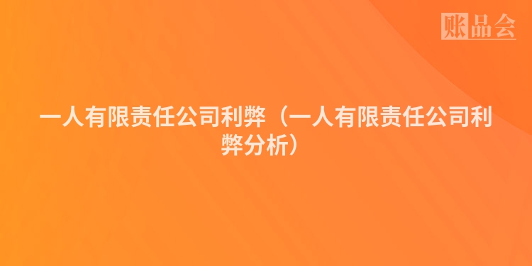 一人有限责任公司利弊（一人有限责任公司利弊分析）