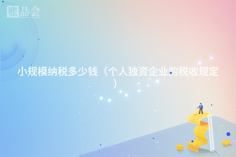 小规模纳税多少钱（个人独资企业的税收规定）